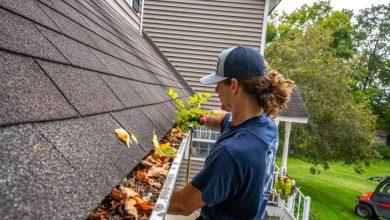 Gutter Cleaning