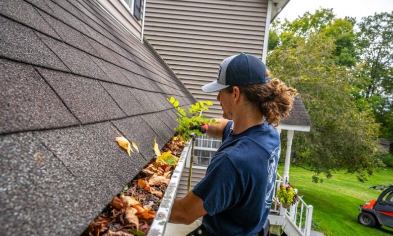 Gutter Cleaning