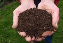 What Is a Compost Delivery Service and How Does It Benefit Your Garden?