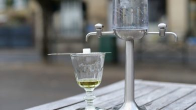 Top 10 Absinthe Brands You Should Try in 2025